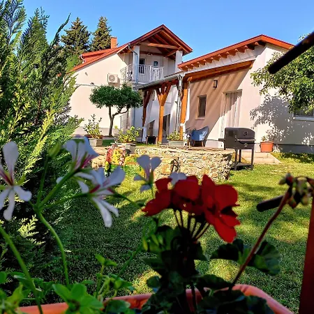 Apartment Orsolya Vendeghaz